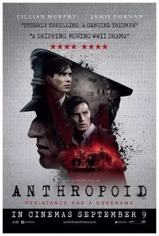 Anthropoid