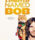A Street Cat Named Bob