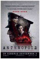 Anthropoid