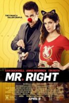 Bay Doğru – Mr. Right