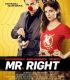 Bay Doğru – Mr. Right