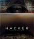 Bilgisayar Korsanı – Hacker