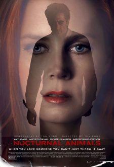 Gece Hayvanları – Nocturnal Animals