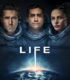 Hayat – Life