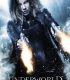 Karanlıklar Ülkesi – Underworld: Blood Wars
