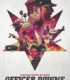 Memur Downe – Officer Downe