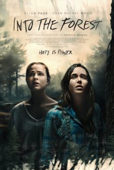 Ormana Doğru – Into the Forest