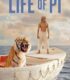 Pi´nin Yaşamı – Life of Pi