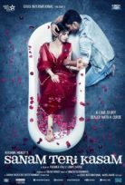 Sanam Teri Kasam
