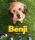 Benji