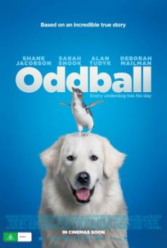 Cesur Köpek Oddball