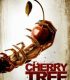 Cherry Tree