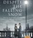 Düşen Kara Rağmen – Despite the Falling Snow