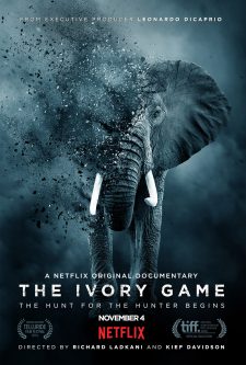 Fildişi Oyunu The Ivory Game