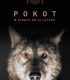 İz Pokot