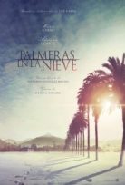 Kardaki Palmiyeler Palmeras en laeve – Palmeras en la nieve