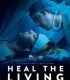 Kesişen Hayatlar Heal the Living – Réparer les vivants