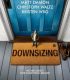 Küçülen Hayatlar Downsizing