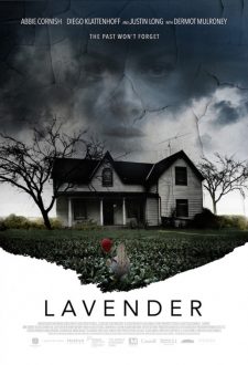 Lavanta Lavender