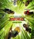 Ninjago