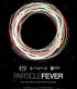 Particle Fever