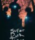 Süper Karanlık Zamanlar – Super Dark Times