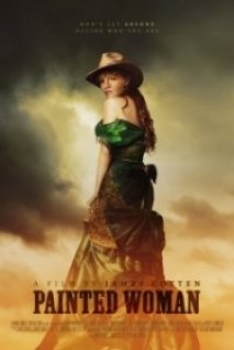 The Mustanger And The Lady