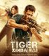 Tiger Zinda Hai