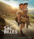 Un sac de billes