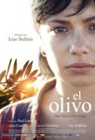 Zeytin Ağacı El Olivo – The Olive Tree