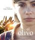 Zeytin Ağacı El Olivo – The Olive Tree