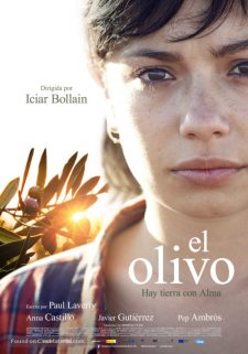 Zeytin Ağacı El Olivo