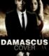 Damascus Cover