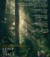 İz Bırakma – Leave No Trace