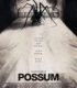 Possum