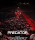 The Predator