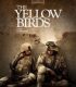 The Yellow Birds
