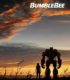 Yaban Arısı – Bumblebee