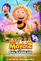 Arı Maya 2