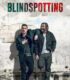 Blindspotting
