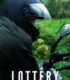 Lottery