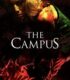 The Campus