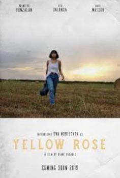 Yellow Rose