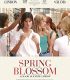 Paris’te Bahar – Spring Blossom