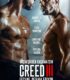 Efsane Devam Ediyor – Creed III