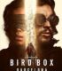 Bird Box: Barcelona