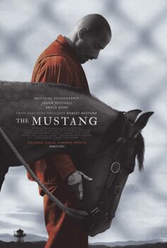 Mustang Yabani At – The Mustang