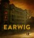 Earwig