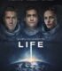 Hayat – Life