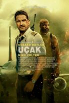 Uçak – Plane